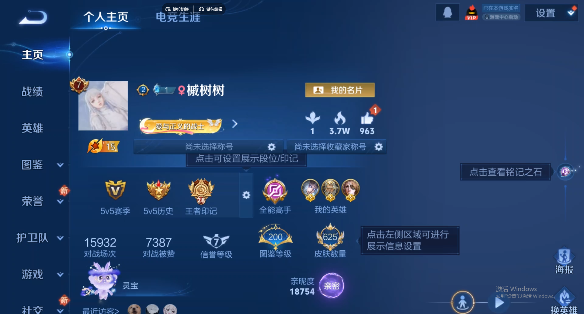 WZCMW428831王者荣耀账号详情图10